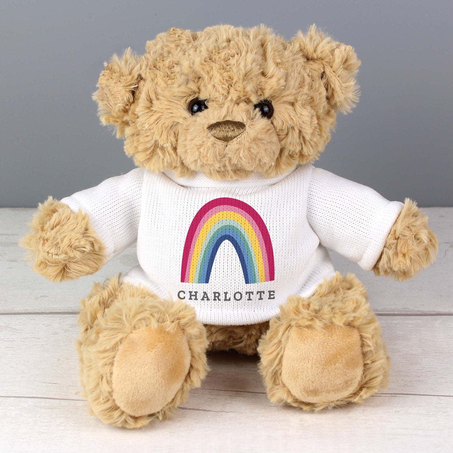 Rainbow Teddy Bear
