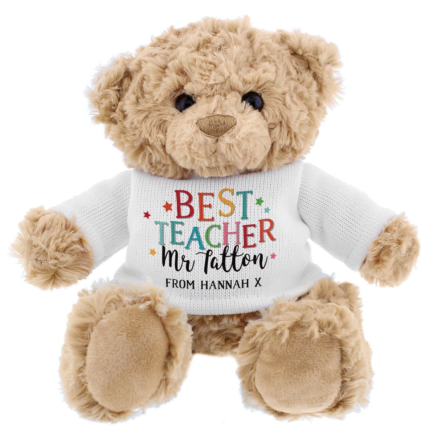 Best Teacher Teddy Bear