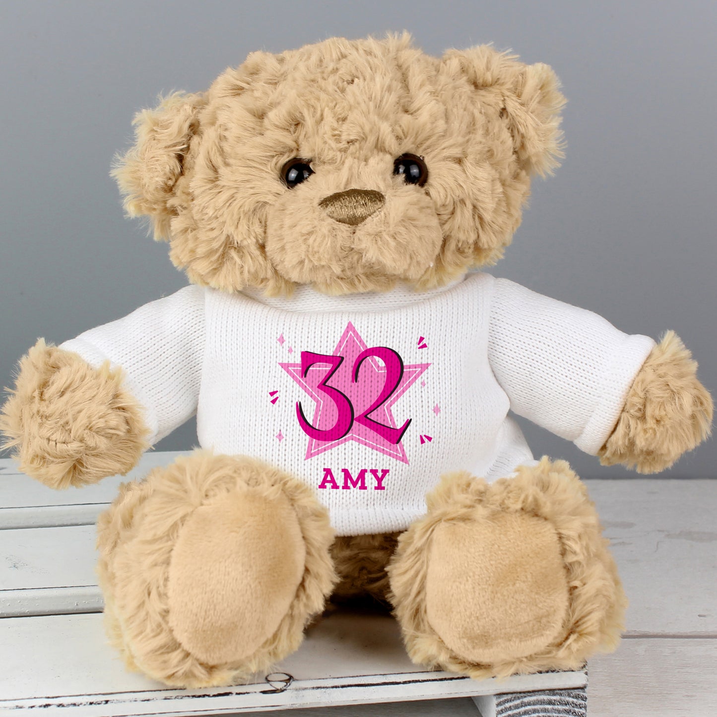 Pink Big Age Teddy Bear