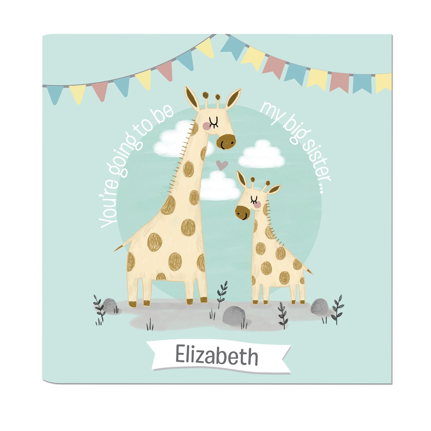 Big Sister Story Book