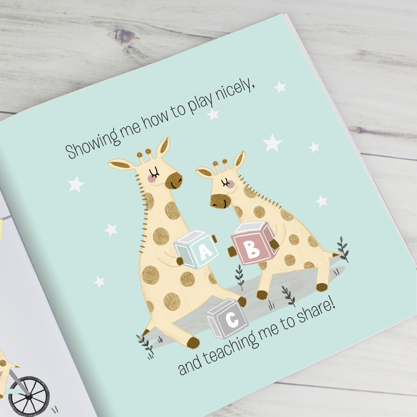 Big Sister Story Book