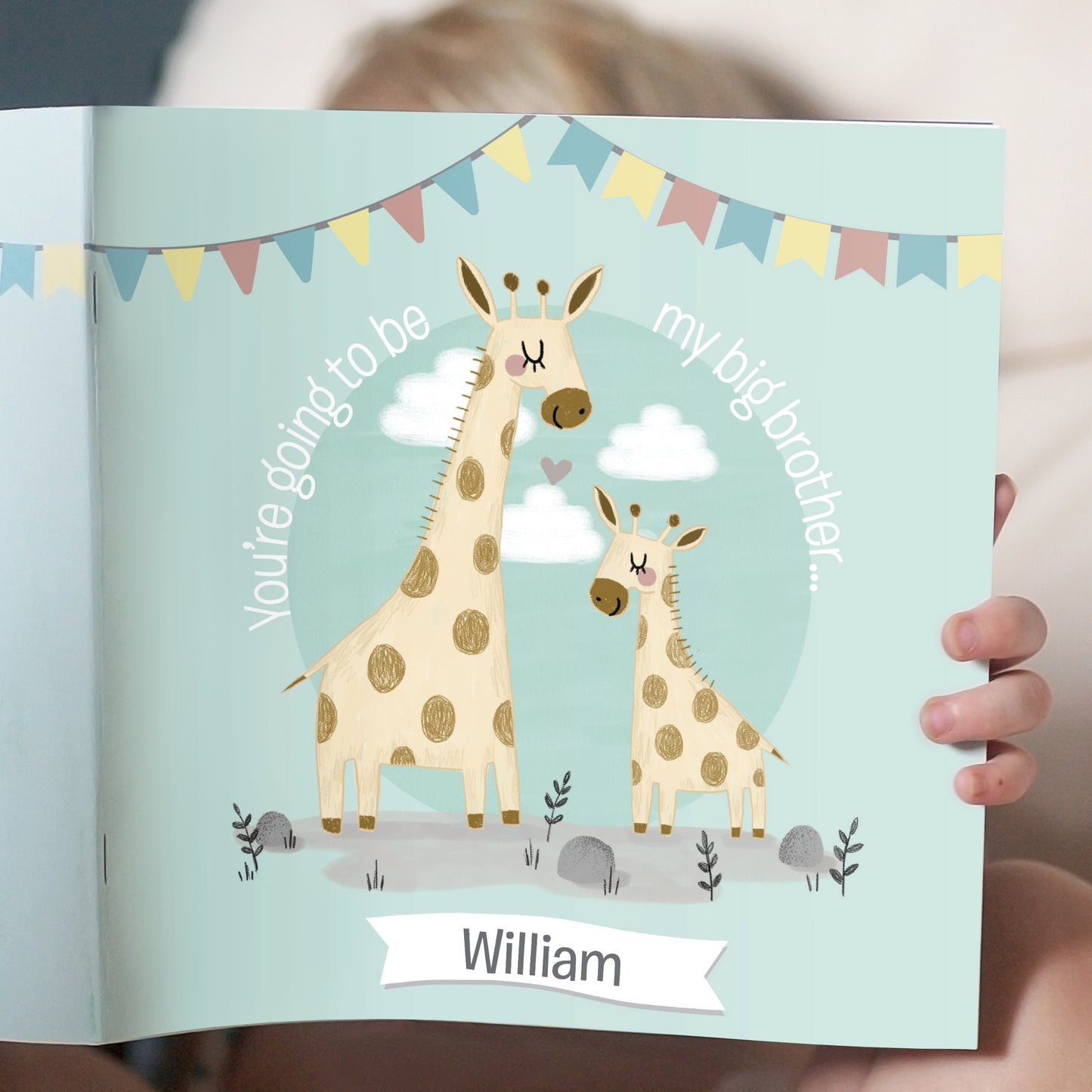 Big Brother Story Book