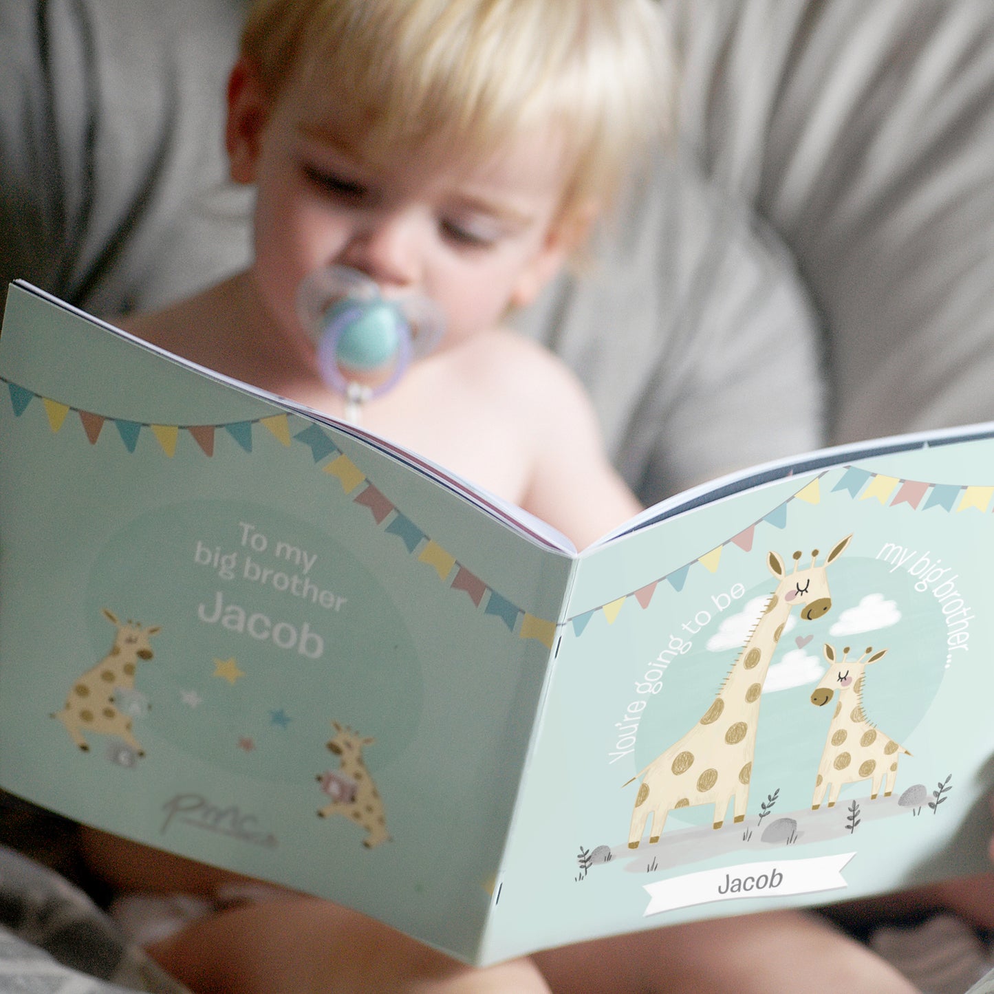 Big Brother Story Book