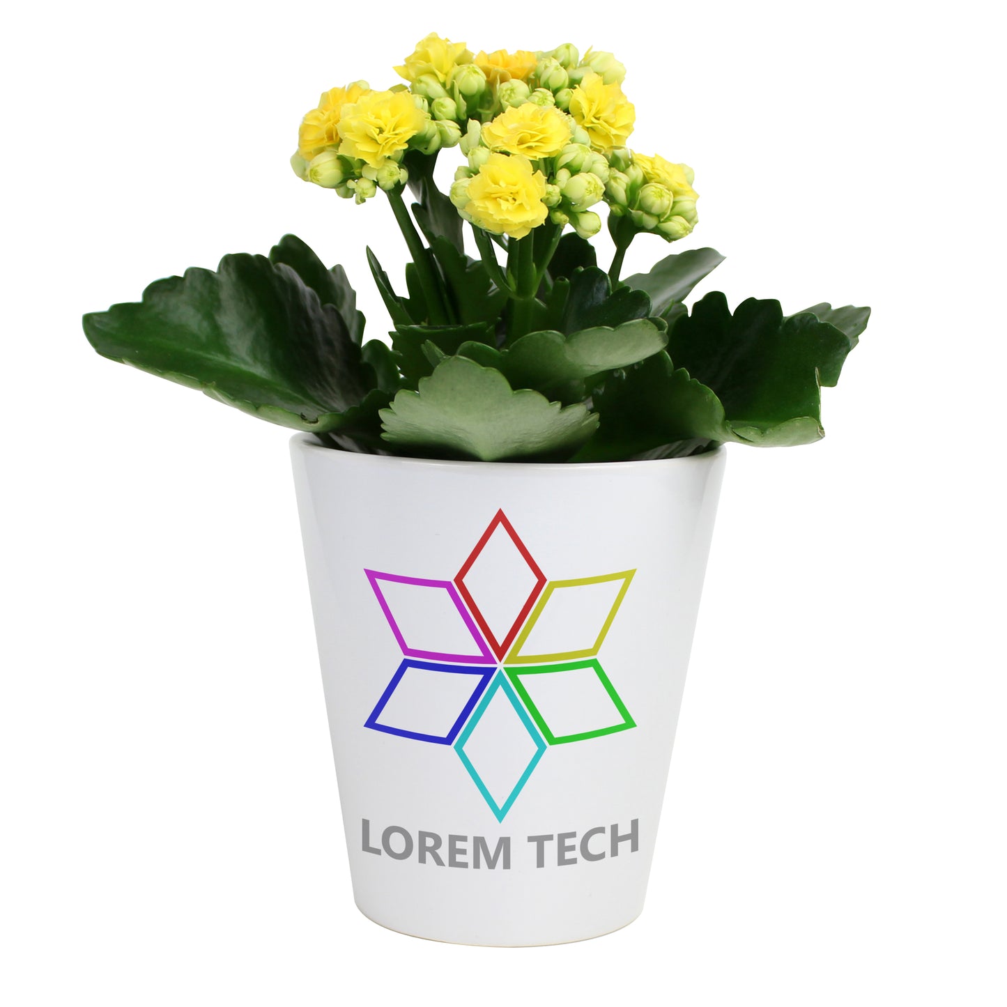 Ceramic Flower Pot - Bespoke Wedding Gifts