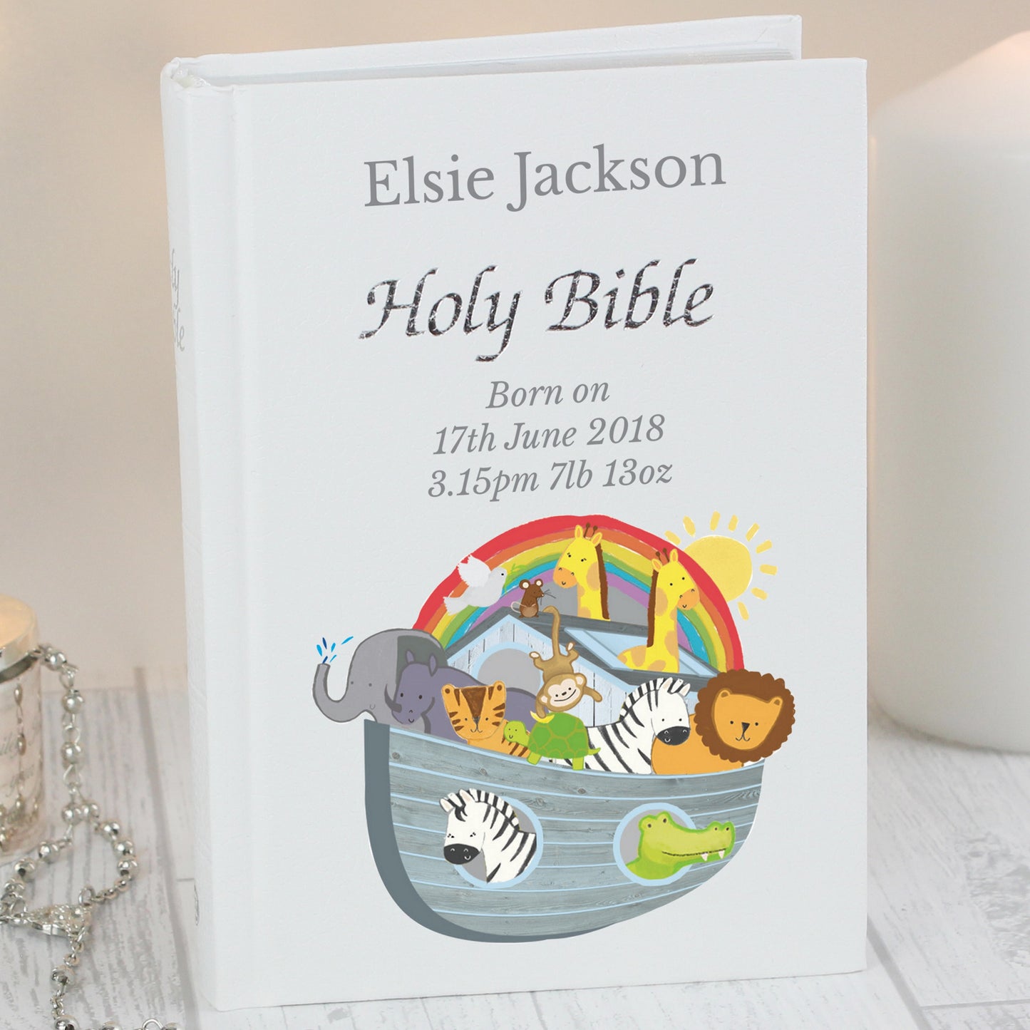 Noahs Ark Bible