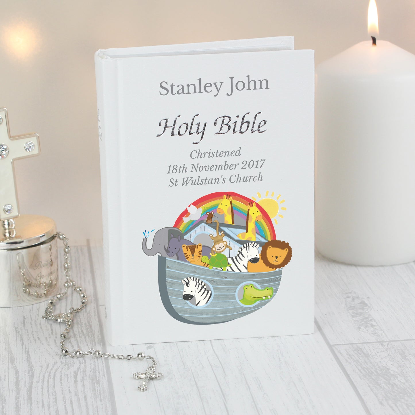 Noahs Ark Bible