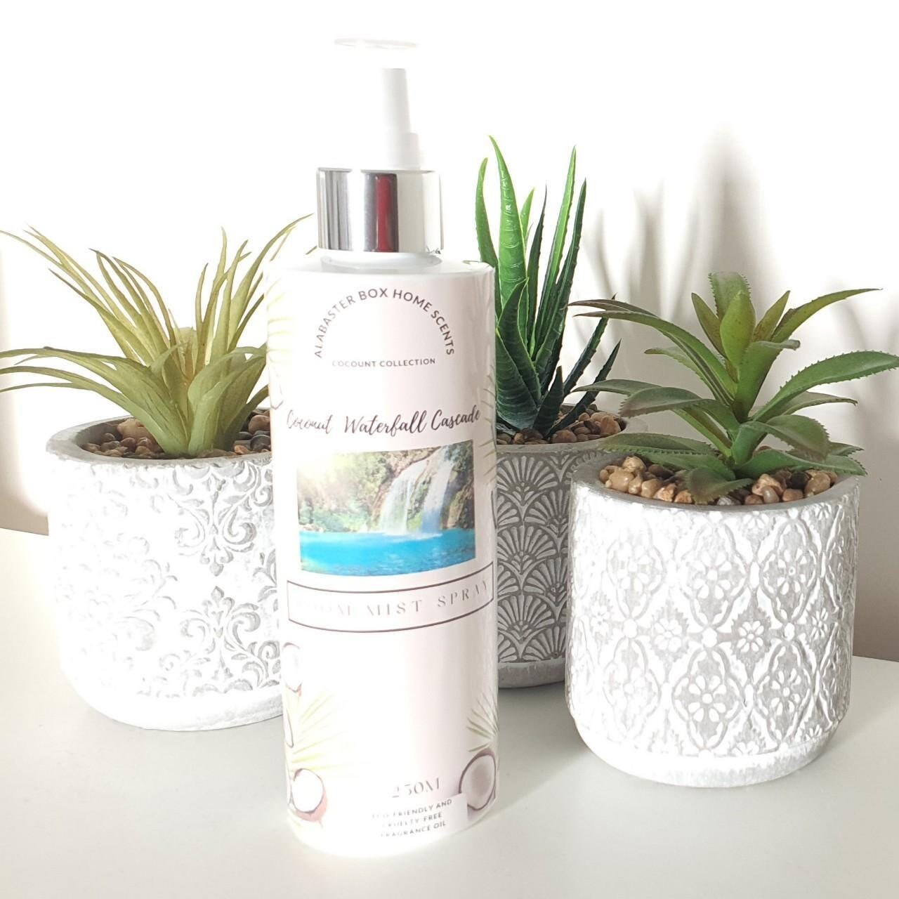 250ml Cocount Infused Room Diffuser