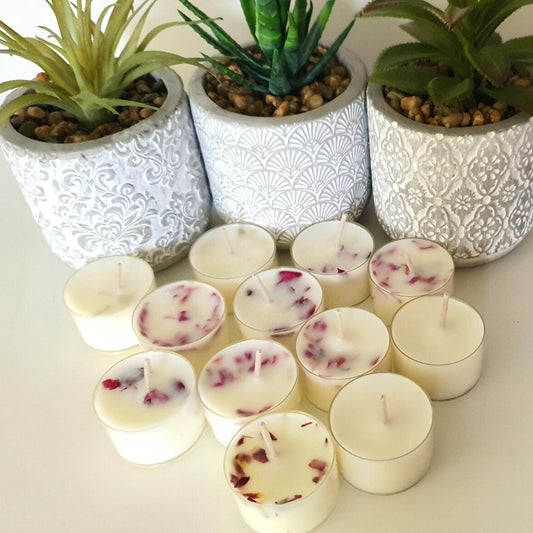 Cocount Beach Tea Light Candles, Botanical Scented, Set of 24