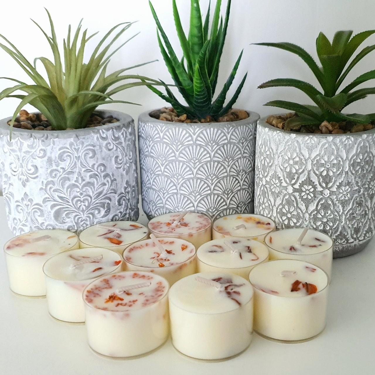 Vanilla & Sandalwood Scented Tealight Candles, Botanical Infused, 24 Pack