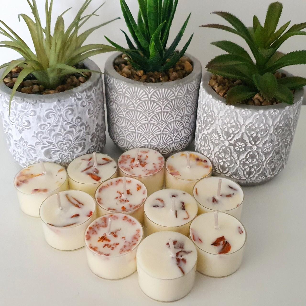 Vanilla  Cinnamon Scented Tealight Candles, Botanical Infused, 24 Pack