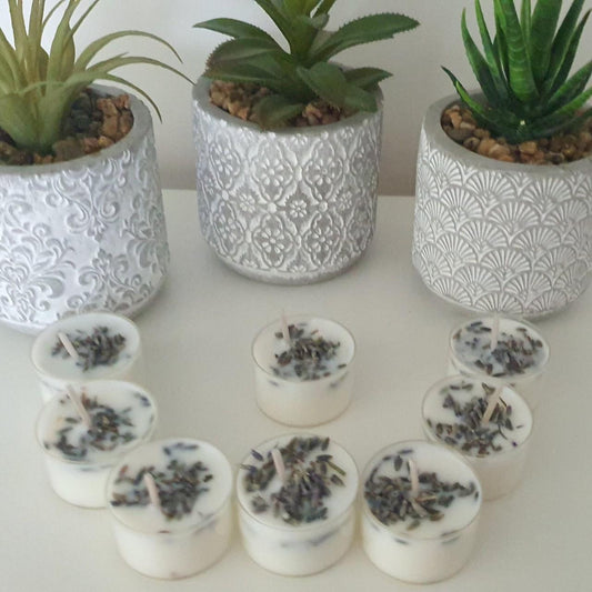 Coconut Island Tea Light Candles, Botanical Scented, Set of 24