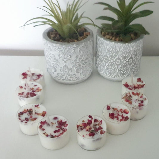Coconut Hibiscus Tea Light Candles, Botanical Scented, Set of 24