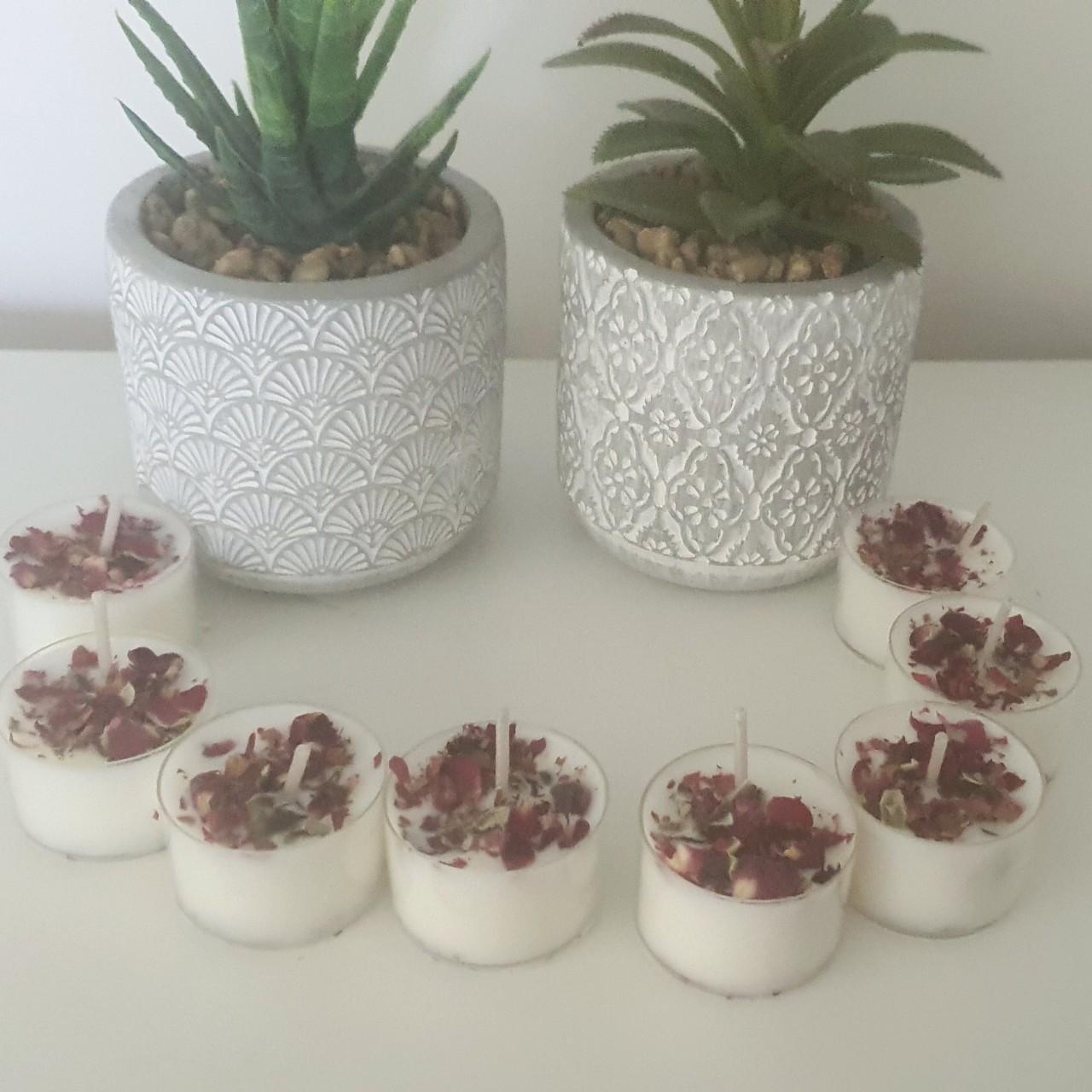 Fresh Lime Essential Oil Tealight Candles, Botanical Petals, Vegan Wax, 6-Hour Burn