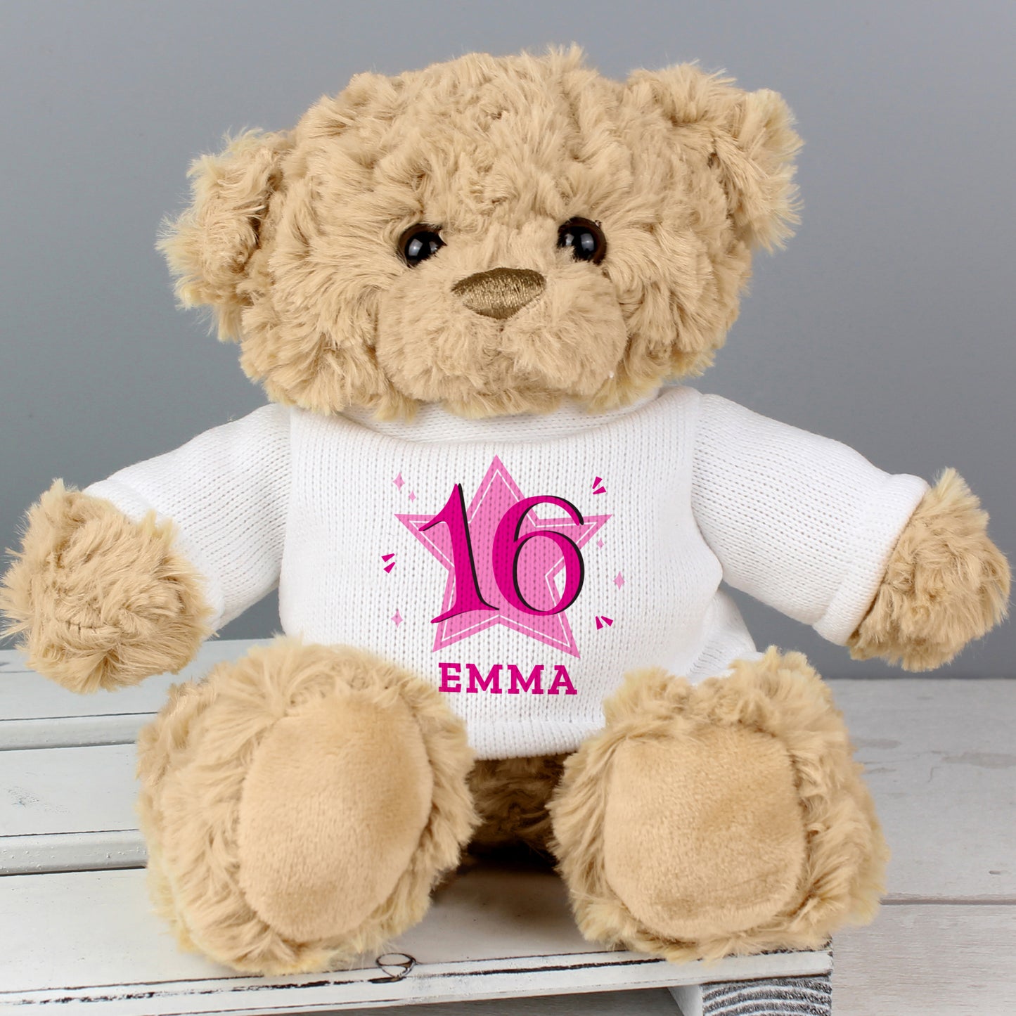 Pink Big Age Teddy Bear
